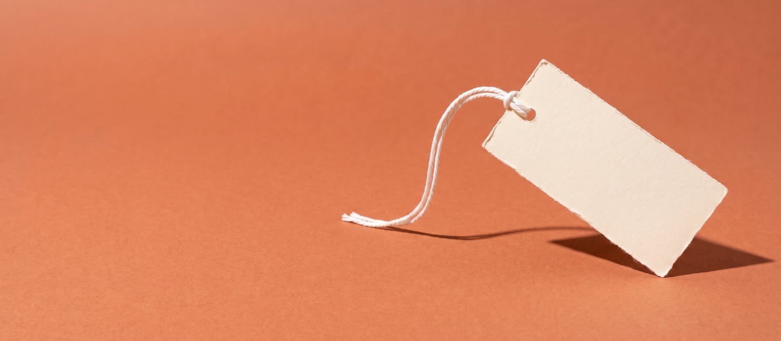 A blank cream price tag on a white string, photographed on a terracotta backdrop, representing a theft or shoplifting charge