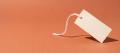 A blank cream price tag on a white string, photographed on a terracotta backdrop, representing a theft or shoplifting charge