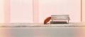 Instant-film photo of an empty wooden bench at a quiet kerbside pickup spot beside a pink wall, a burnt-orange umbrella leaning on it