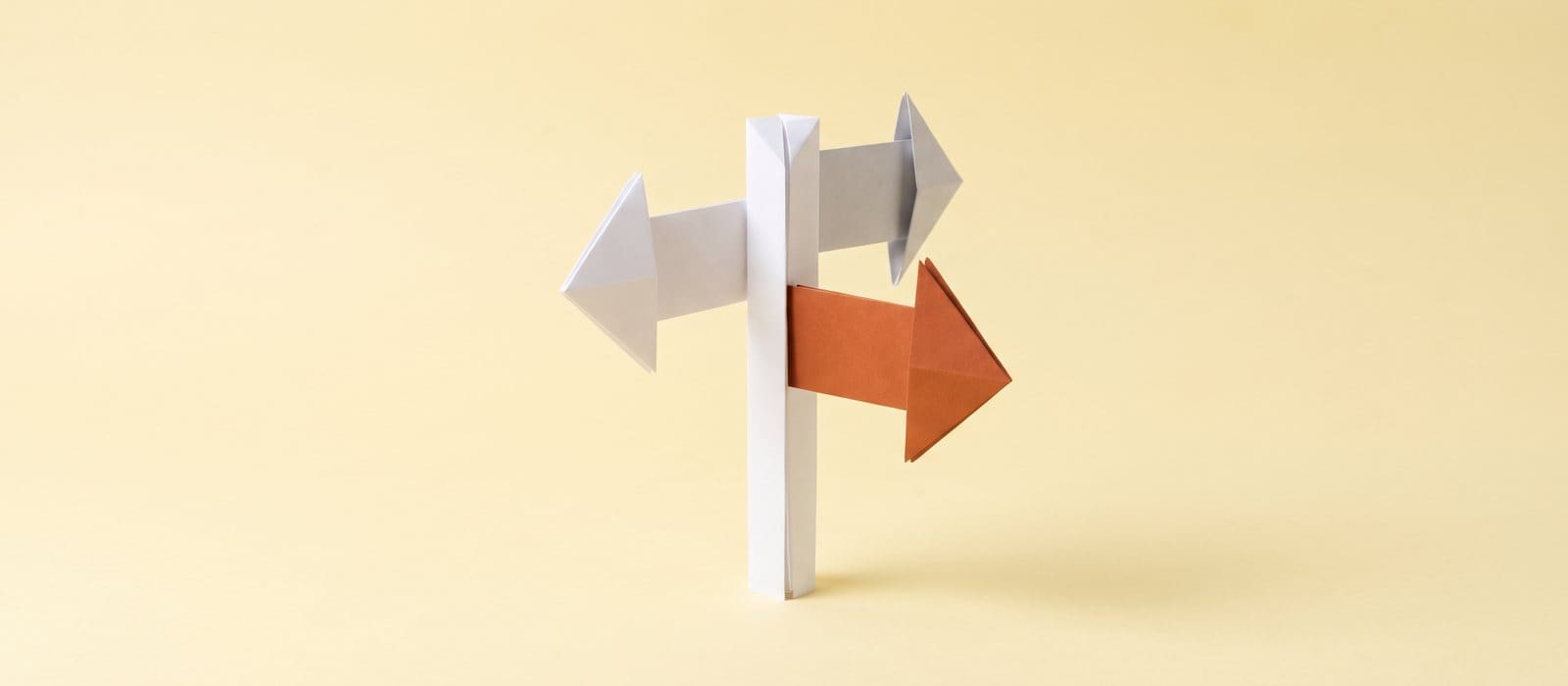 Origami signpost folded from white paper with one burnt-orange arrow, on a pale yellow backdrop, representing the choices after an obstruct police charge
