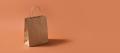 An empty kraft paper shopping bag on a terracotta backdrop, representing a shoplifting allegation