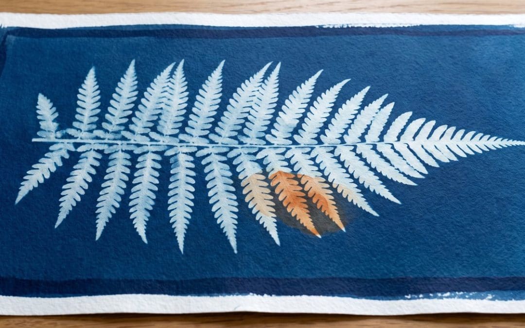 Cyanotype sun print of a single fern frond in deep Prussian blue, one frond tip tinted burnt orange