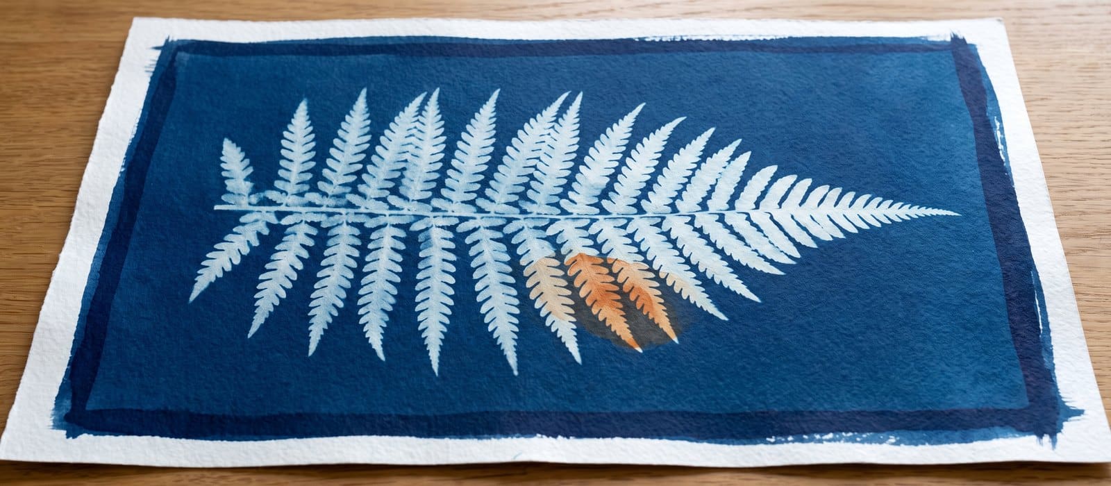Cyanotype sun print of a single fern frond in deep Prussian blue, one frond tip tinted burnt orange